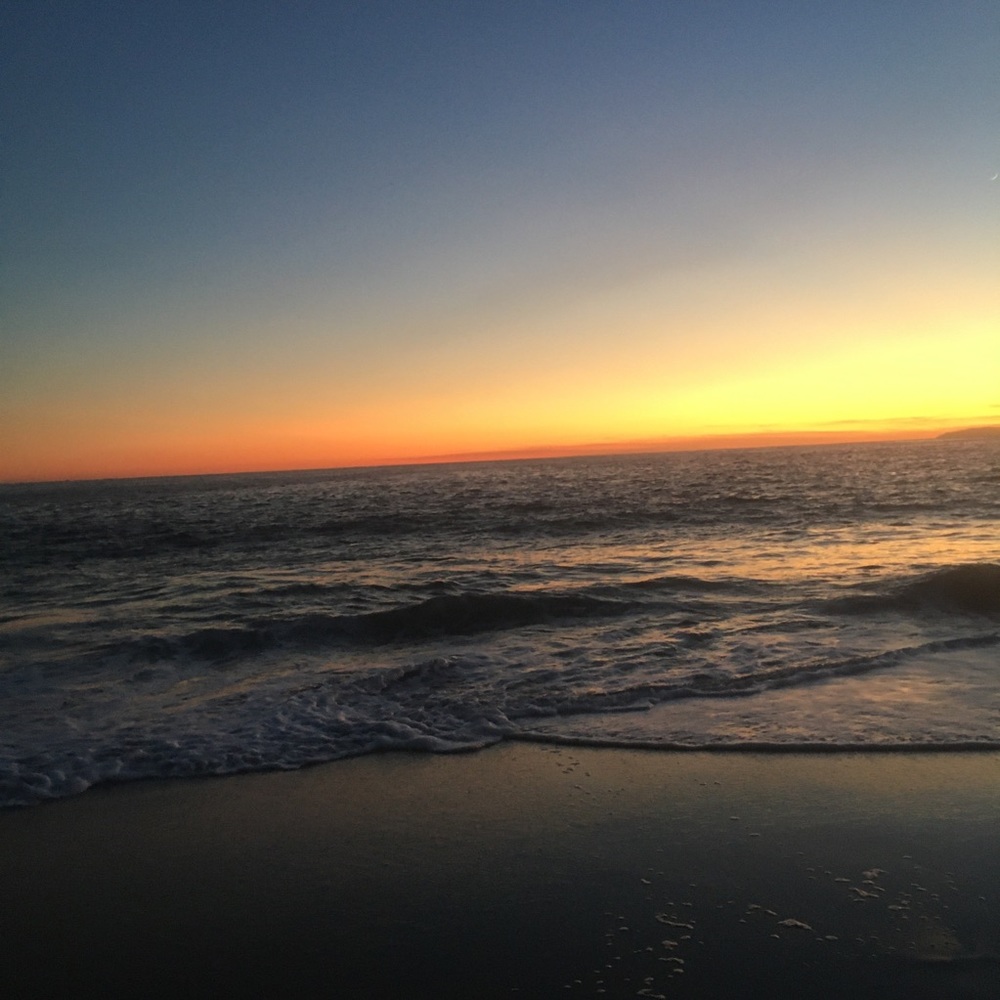 Meet your Posher, Paige